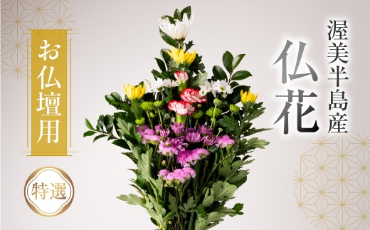 【通常配送 日時指定可】産地直送 《お仏壇用》 仏花 特選 日時指定可 生産額 日本一 田原市 渥美半島 月命日 お彼岸 鮮度 生花 お花 お墓まいり