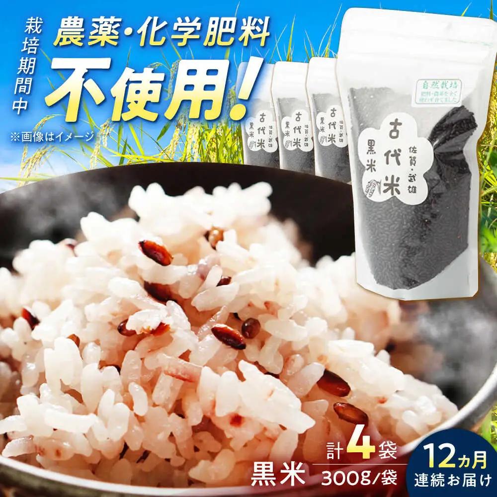 【12回定期便】古代米 黒米 4袋 /永尾 忠則 [UAS019] 雑穀 雑穀米