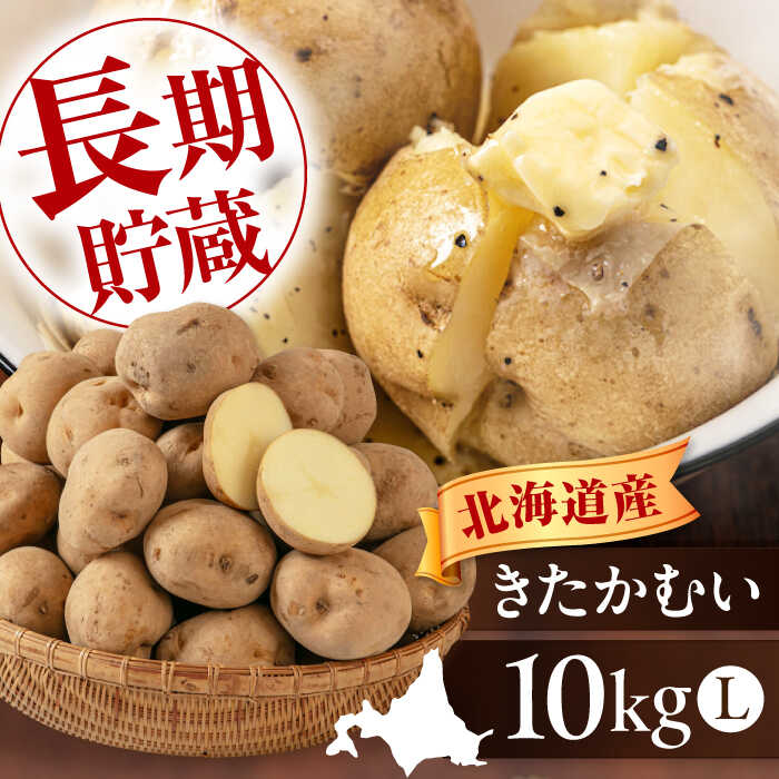 【ふるさと納税】先行予約 じゃがいも きたかむい 10kg 《喜茂別町》【Aコープようてい】 先行予約 ジャガイモ 野菜 季節の野菜 冬野菜 詰め合わせ 北海道 北海道産 産地直送 [AJAK012] 8000 8000円