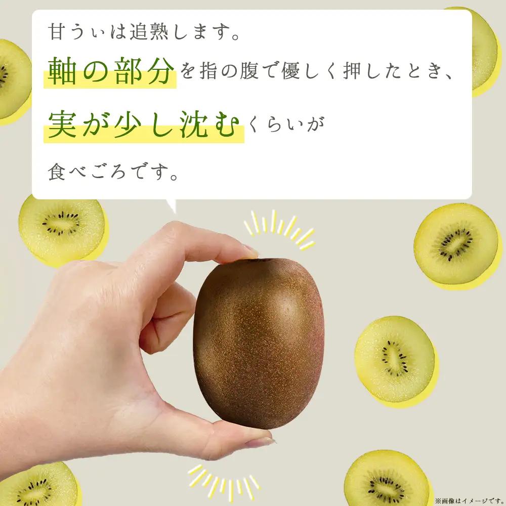 福岡県産 キウイ 甘うぃ 約1.4kg (9玉)  キウイ キウイフルーツ  kiwi 果物 フルーツ 送料無料 3W25
