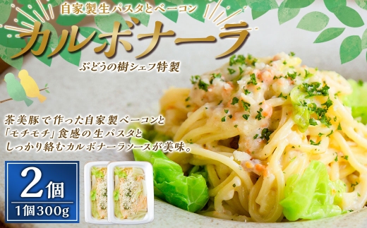 【カルボナーラ】ぶどうの樹シェフ特製 選べるパスタ・グラタン2個セット 生パスタ スパゲッティ 麺 冷凍 福岡県 岡垣町