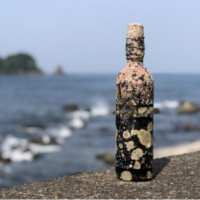 ふるさと納税 伊東市 赤ワイン潜酔酒(カベルネソービニオン)