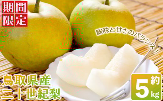 ＜数量限定＞＜2025年8月下旬以降順次発送予定＞鳥取県産二十世紀梨(約5kg) 【sm-BZ007】【岡田商店】