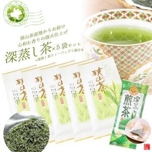 深蒸し茶100g×5袋+TB1袋　狭山茶産地からお届け　心和む香りの強火仕上げ【1517900】