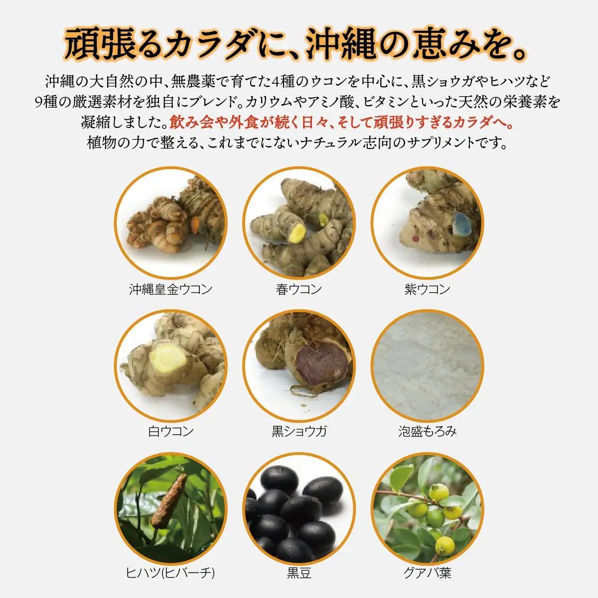 4種のウコンと5種の美健素材（SAKEKING10個セット）   