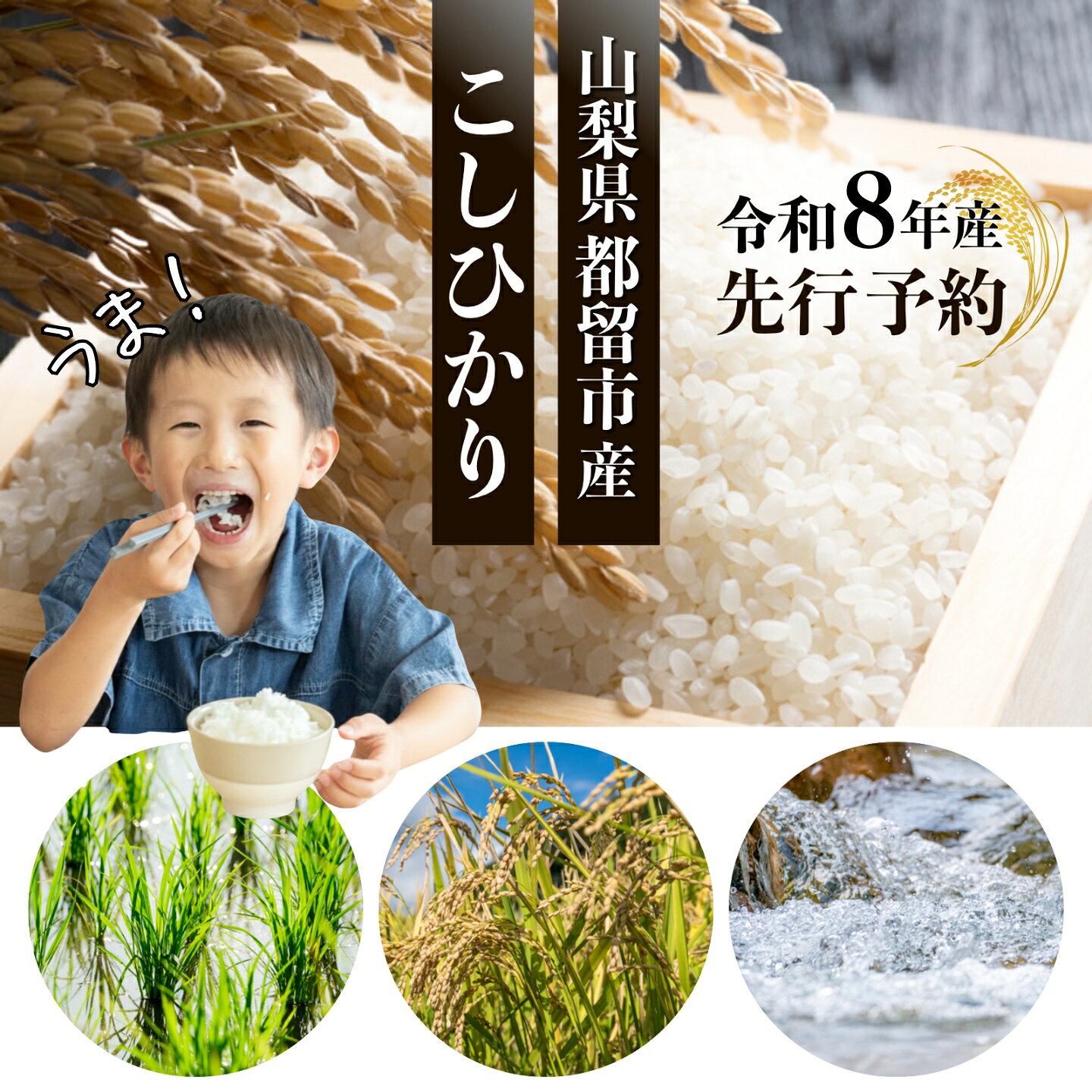 【ふるさと納税】 令和8年産 こしひかり 選べる容量 5kg 10kg 山梨県 都留市産 先行予約 富士山の湧水で育った米 2026年11月上旬以降発送 お米 こめ コメ コシヒカリ