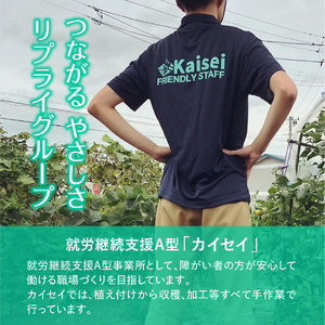 【障がい者支援】「さがえ唐辛子（旨辛）」15g×1本 山形県産 一味唐辛子　0025-G-BK027