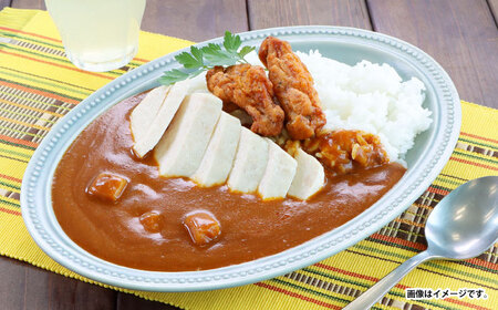 【小分け】日本ハム レストラン仕様カレー中辛10パックセット(1パック4袋入り)計40食分/ カレー かれー レトルト 牛肉 小分け / 諫早市 / 日本ハムマーケティング株式会社 [AHAL003]