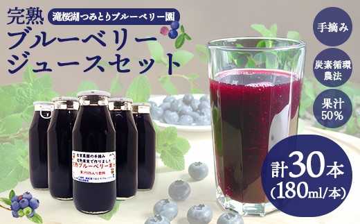 
                  完熟ブルーベリージュース180ml×30本（福島県三春町産）　【07521-0170】
                