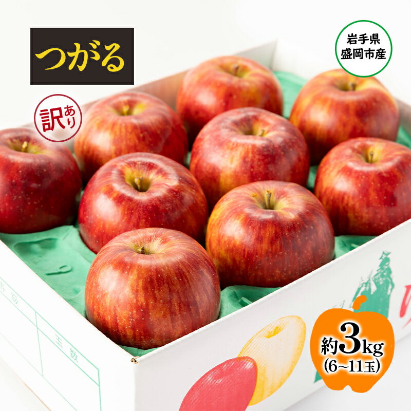 【ふるさと納税】【8月から発送】 りんご 盛岡から「農で人をつなぐ」藤与果樹園：《 訳あり 》 つがる 約3kg 6～11玉 玉数指定不可 詰め合わせ 岩手 盛岡　お届け：2025年8月25日～2025年9月20日