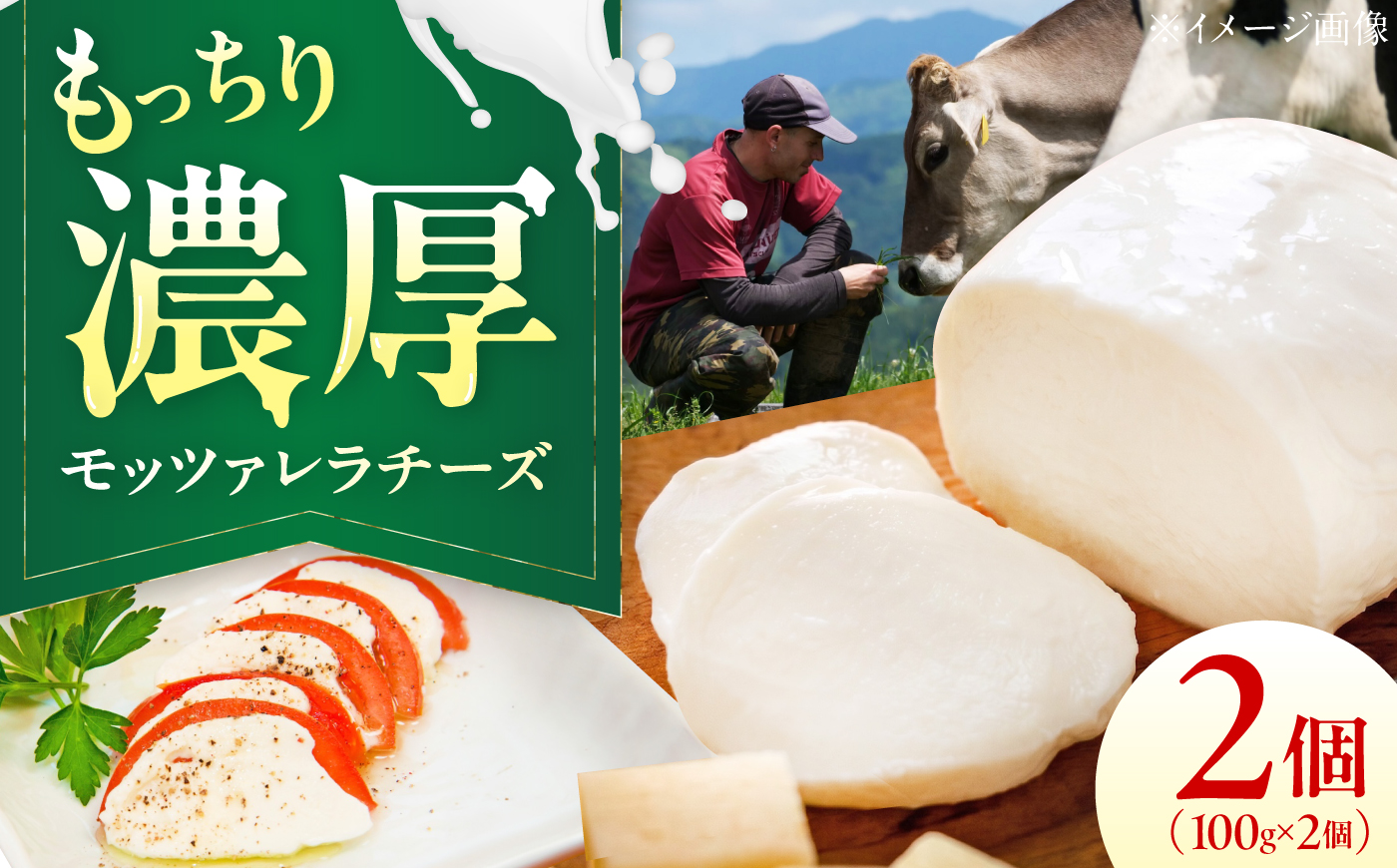 山地放牧酪農ミルクのモッツァレラチーズ 2個セット/チーズ モッツアレラチーズ 愛媛県 伝統製法 おつまみ 乳製品/株式会社醍醐 [BKAH006]