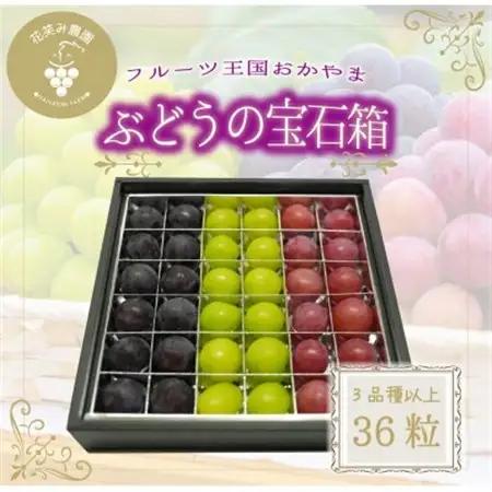 岡山　花笑み農園『ブドウの宝石箱』3種以上(36粒入り)　3M-宝36【配送不可地域：離島・北海道・沖縄県】【1629381】