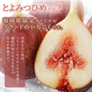 ＜先行予約受付中！2026年8月下旬～2026年10月下旬順次発送予定＞福岡県ブランドいちじく博多 とよみつひめ (計約1.2kg・300g×4P) いちじく イチジク フルーツ 果物 くだもの 福岡