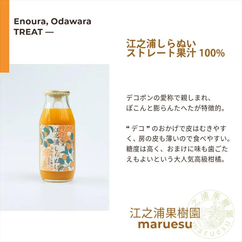小田原産江之浦みかんジュース５種のみくらべ2０本セット うんしゅう・しらぬい・ゴールデン・なつみ・バレンシアオレンジ１００％ストレートジュース１８０ml各４本合計２０本【みかんジュース みかんジュース