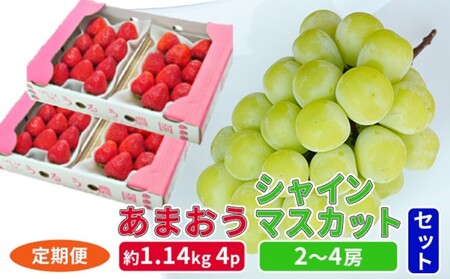 【定期便2回】 2027年 いちご シャインマスカット セット スタンダード 4パック 約1.14kg シャインマスカット 2～4房 約1.2kg いちご