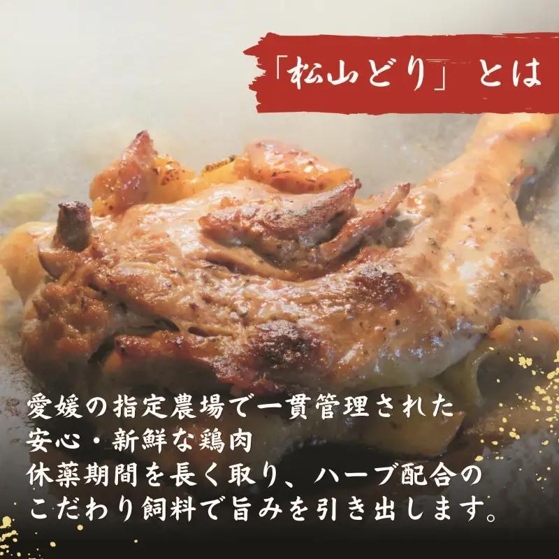 【松山名物】愛媛・松山名物セット 元祖三津浜焼き2個＆松山骨付鳥 親鳥・若鳥各1本セット  お好み焼き 骨付鶏 鶏肉【ACF007】