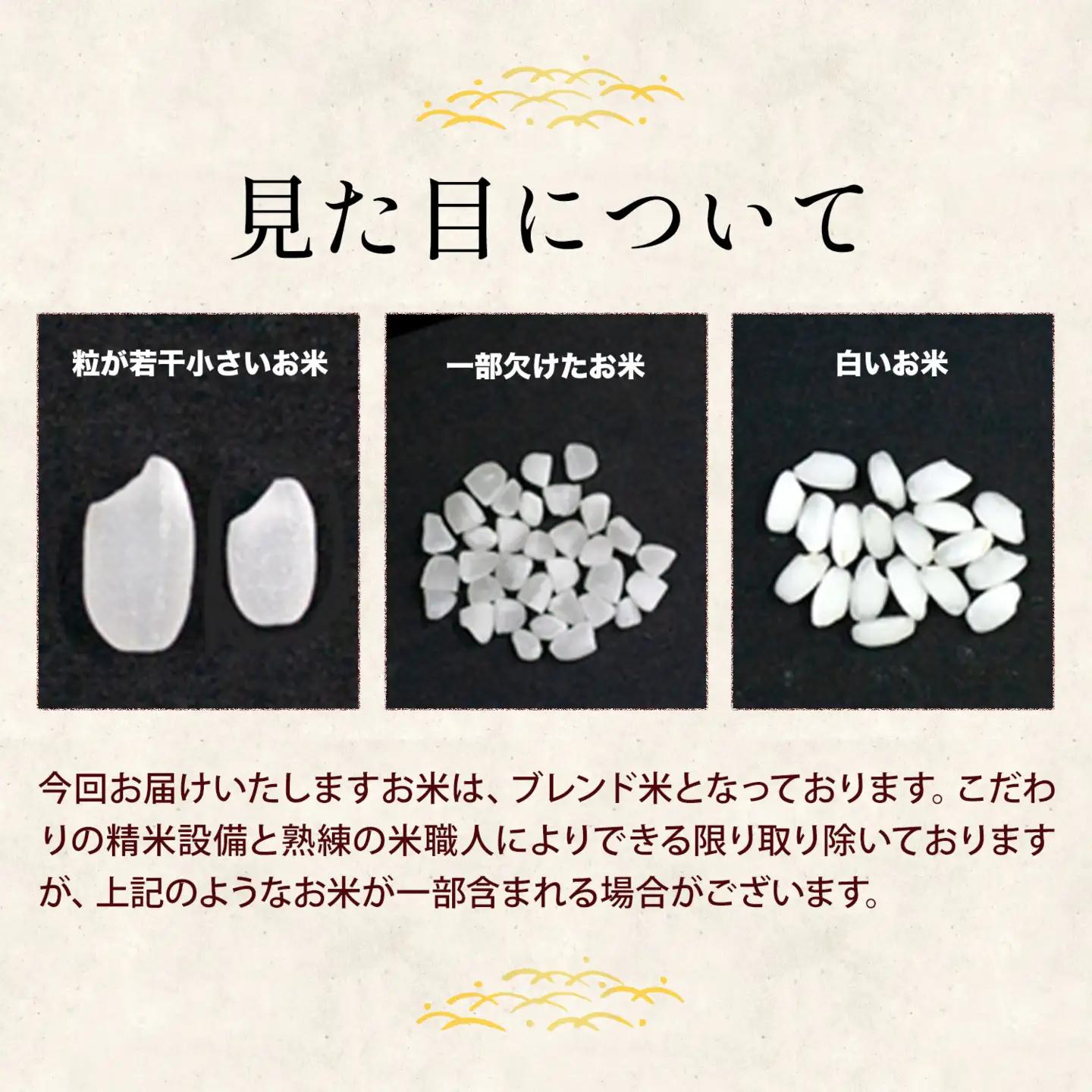 【24ヶ月定期便】熊本県産 くまもとあっぱれ米 ブレンド米 10kg 白米《お申込み翌月から出荷》