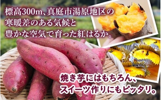 【訳あり】針山さんちのさつまいも 紅はるか 3kg / さつまいも 紅はるか 岡山県 野菜 【ybrf001-01】