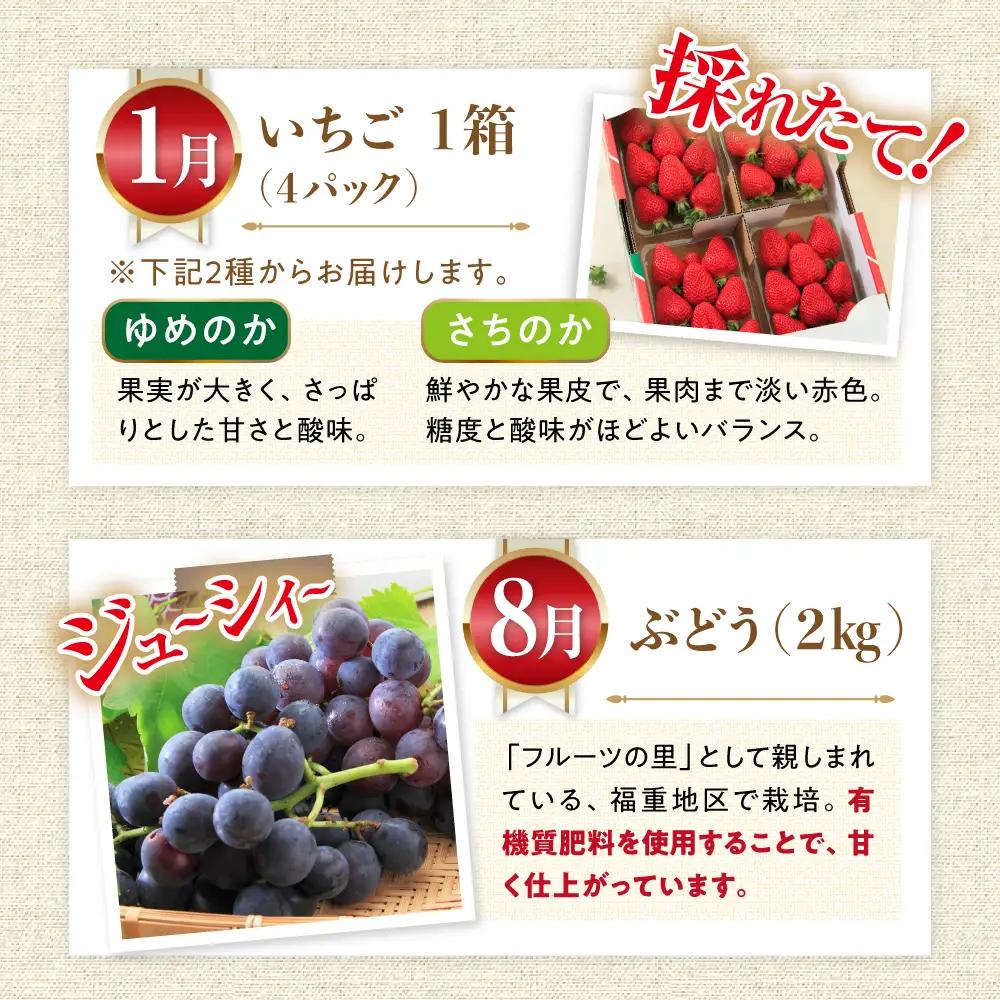 【5回】フルーツ定期便 米とフルーツ[ACAA082]