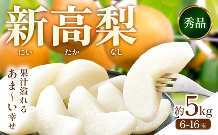 新高梨 約5kg（6～16玉） 日本フルーツ株式会社《9月上旬-10月末出荷》熊本県 荒尾市 新高梨 梨 果物 フルーツ スイーツ デザート ギフト ご贈答