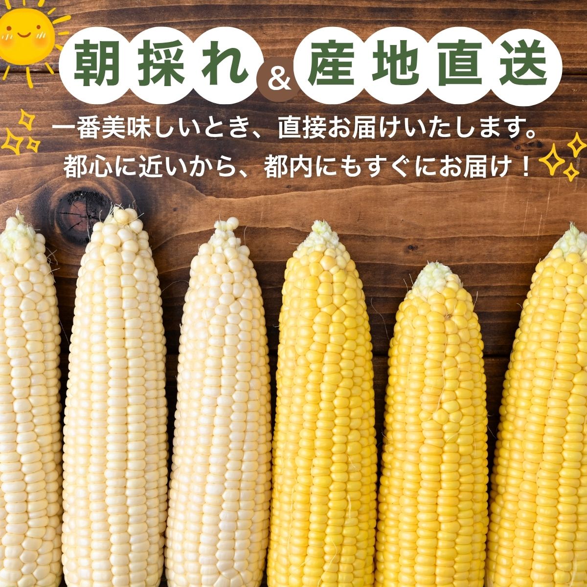 とうもろこし ゴールドラッシュ ピュアホワイト 食べ比べ 6本セット アップヒルファーム