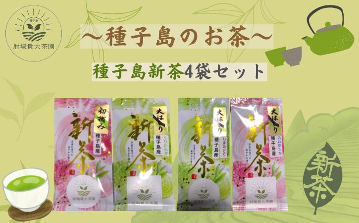 
            種子島  射場貴大 茶園  「松寿」 「くりわたせ」 「しまみどり」　「みねゆたか」 種子島 限定 4茶葉セット　NFN571 【325pt】 // 日本茶 緑茶 希少品種 お茶 新茶 一番茶 松寿 くりわたせ しまみどり みねゆたか
          