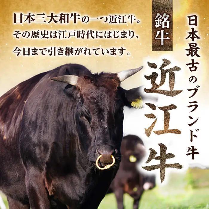 近江牛ウデスライス500g[AQCS003] 近江牛 牛肉
