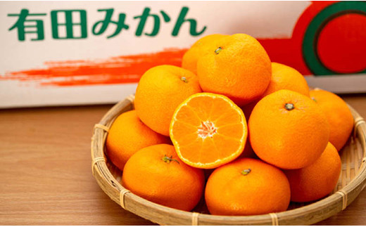 
有田みかん　約5ｋｇ
