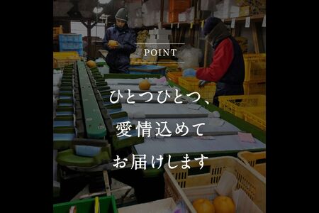 鳥取県南部町産　井田農園のあたご[梨]（3kg箱）＜11月～出荷開始＞　氷温保存