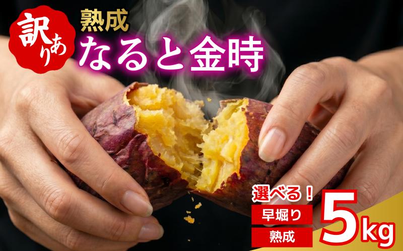 
                  訳あり なると金時 5kg 選べる 早掘り 熟成 さつまいも 鳴門金時 いも 芋 焼き芋 干し芋 スイーツ 貯蔵庫 熟成いも 国産 お土産 徳島 鳴門 
                