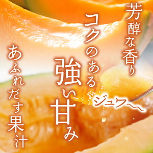 北海道石狩産 赤果肉メロン1玉 計1.6kg以上｜メロン フルーツ 果物 北海道 石狩市