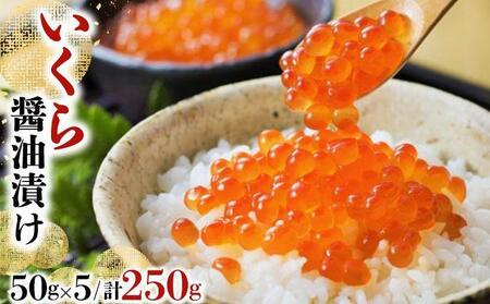 いくら醤油漬け 250g（50g×5）【2025年11月発送】 いくら 海鮮 北海道 イクラ 冷凍 醤油漬け 海産物 045-a008-11