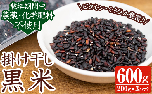 y172 《栽培期間中農薬化学肥料不使用》掛け干し黒米 計600g(200g×3パック) 国産 九州産 鹿児島産 湧水町産 黒米 お米 米 おこめ 600g 化学肥料不使用 農薬不使用 【雲月農園】