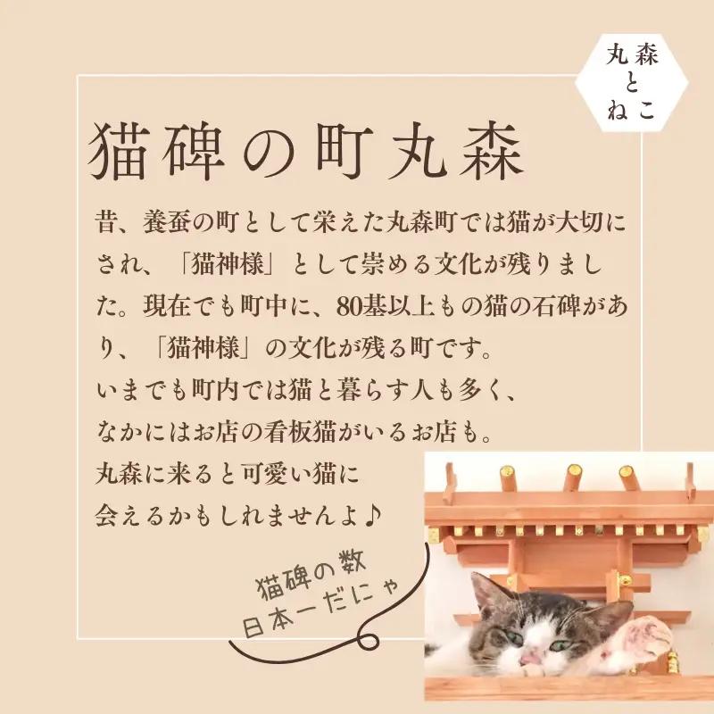とらちゃんTシャツ×1枚（Lサイズ）【05124】