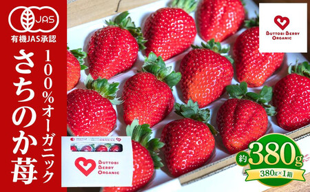 徳島 厳選 グルメ定期便【12ヶ月毎月お届け】