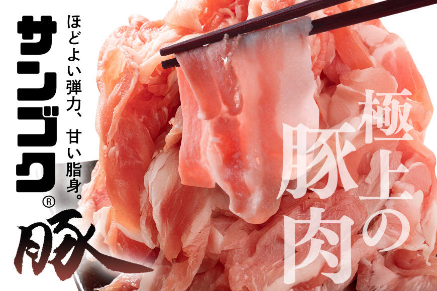 ブランド豚「サンゴク豚」 小間切れセット 2kg 豚ロース 小間切れ 細切れ こま切れ 豚こま 豚小間 豚小間肉 小分け 2-P