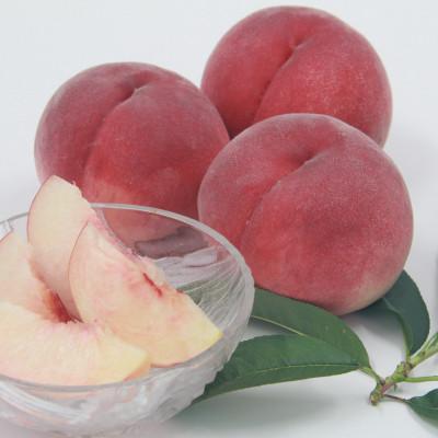 ふるさと納税 山梨市 【発送月固定定期便】フルーツ定期便全4回 |  | 01