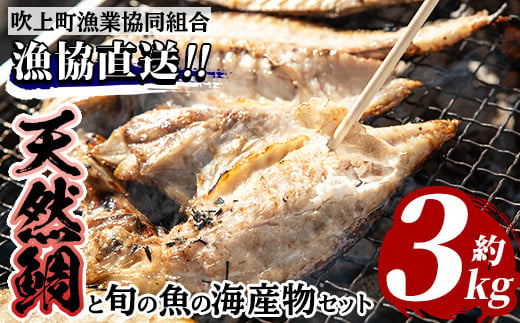 
No.031 海産物セット 天然鯛！タイと旬の魚の干物・旬の魚の竜田揚げの素セット(干物6尾以上・竜田揚げの素1袋・計約3.0kg)【吹上町漁協】
