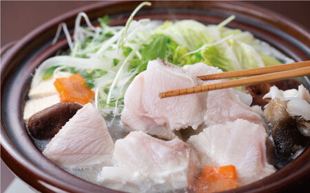 【先行予約】土佐料理司 高知本店　クエ鍋3人前〈2025年11月~発送〉【株式会社土佐料理司】[ATAD005]