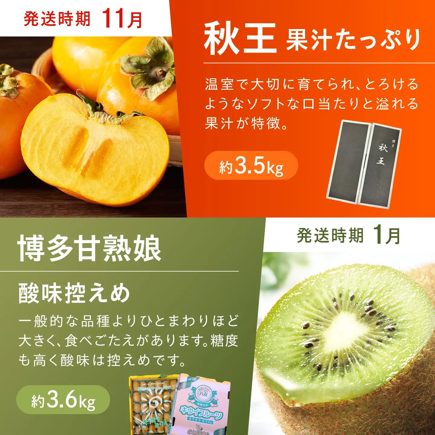 【6回定期便】フルーツ定期便 旬のフルーツ [AFAB117]