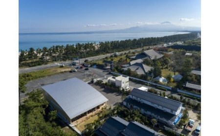 本池美術館限定 ティッシュボックス(CREAM)本池秀夫監修