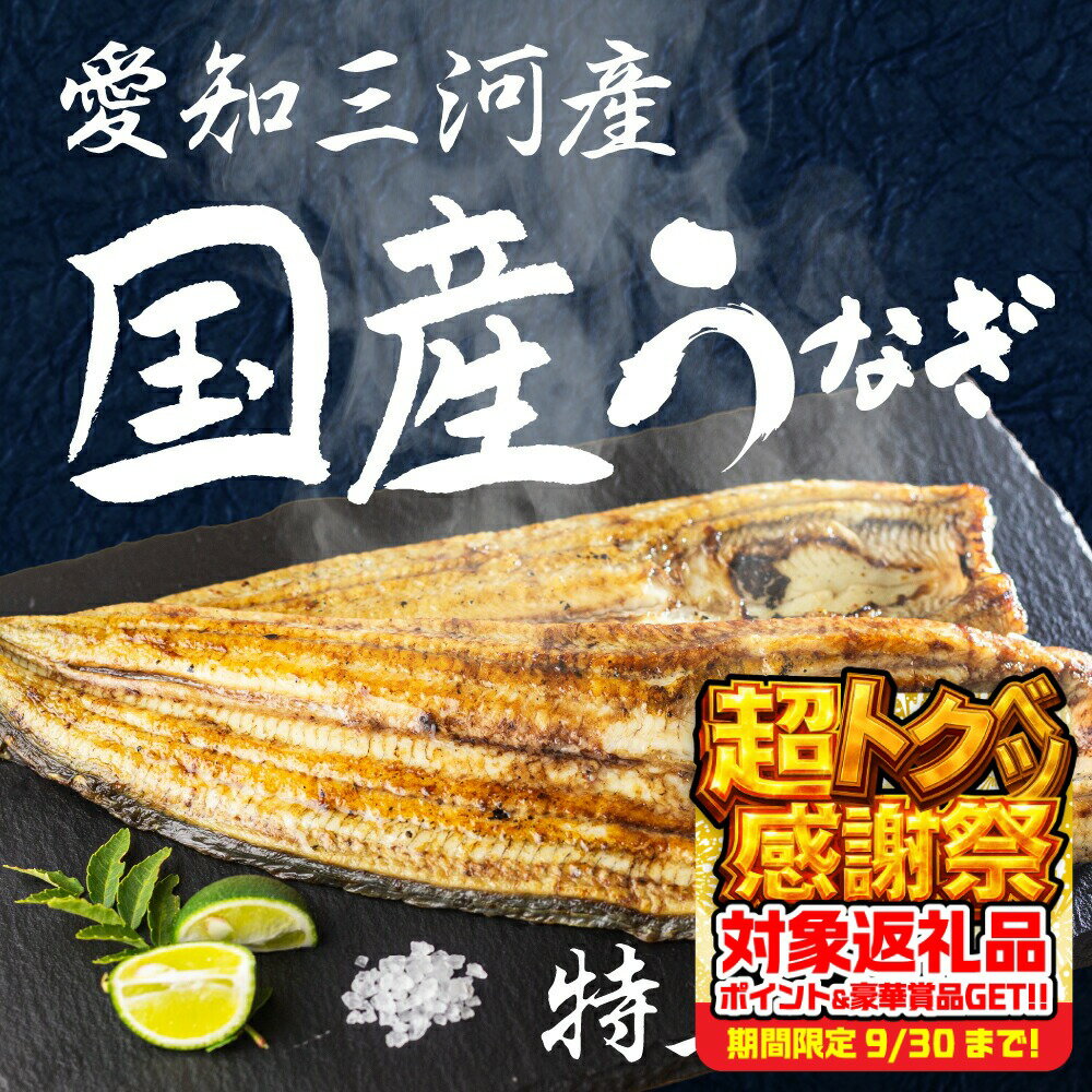 【ふるさと納税】愛知県三河産　うなぎ　白焼き 2尾　国産うなぎ 鰻 タレ付 セット 厳選 ウナギ かば焼き 丑の日 高級 贅沢 ご褒美 特産品 ふっくら お取り寄せ うな重 うな丼 ひつまぶし 冷凍 誕生日 お祝い 内祝い お中元 お歳暮 愛知県 豊橋市