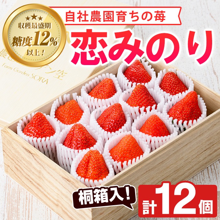 ＜先行予約受付中！2026年1月以降順次発送予定＞桐箱入！自社農園産いちご 恋みのり(計12個) 鹿児島 阿久根 自社農園 果物 フルーツ イチゴ いちご 苺 恋みのり 贈答用 ギフト 桐箱 デザート 期間限定【農園ガーデン空】akn026-10