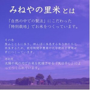 【数量限定】令和7年産　みねやの里米　こしひかり(精米)　5Kg_ 精米 米    コシヒカリ 米 こしひかり_【1459711】