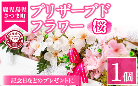 s106 ≪毎月数量限定≫プリザーブドフラワー(さくら)鹿児島県さつま町で大切に育てられた花を使用！記念日などのプレゼントインテリアにも◎ さつま町 特産品 鹿児島 花 フラワー プレゼント ギフト インテリア 記念日 誕生日 結婚祝い 祝い お供え【南原農園】