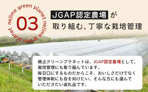 田淵さんちの美味しいミニトマト 小鈴約2kg（1.0kg×2箱） GP-709| 野菜 トマト ミニトマト 産地直送 ミニトマト 新鮮 トマト 南大隅町産 ミニトマト おいしい ミニトマト