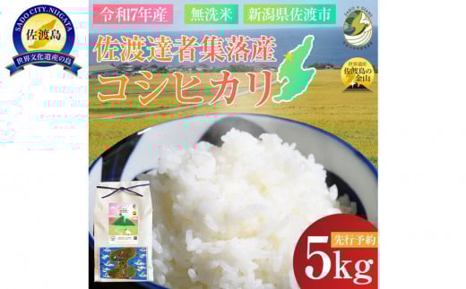 【先行予約】【新潟県佐渡】達者集落産コシヒカリ＜数量限定・生産地域限定＞ 令和７年産 精米【無洗米】5kg 送料無料
