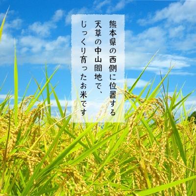 ふるさと納税 天草市 〈2024年産〉河浦町新合産　コシヒカリ　精米　6kg(3kg×2)_S112-005A |  | 01