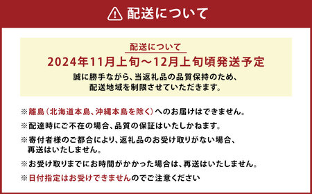 A157 福岡県山川産 塩みかん 5kg 【2024年11月上旬～12月上旬発送予定】 蜜柑 花藻塩