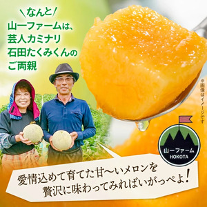 山一ファームの『クインシーメロン』1個入り